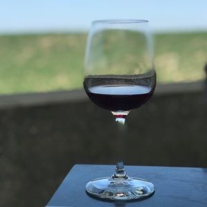 Meet your Posher, Twila